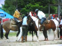 /album/galeria-de-fotos/pedro-henrique-078-jpg/